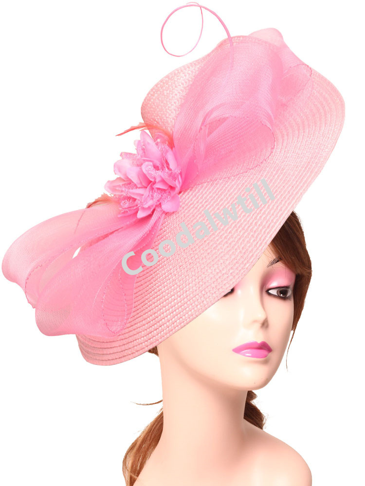 Elegant Tea Party Fascinator P - Women'S Fashion Kentucky Derby incelemesi ve fiyatı