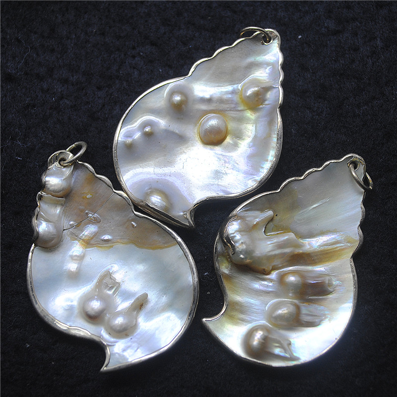 3PCS Nature Shell Pendants Mot - Women Fashion Nz incelemesi ve fiyatı