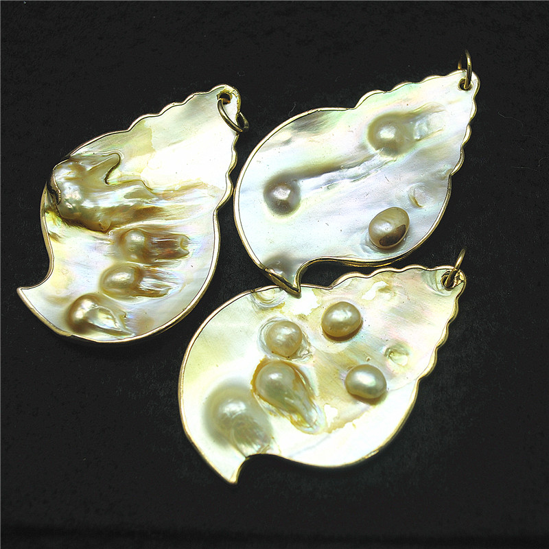 3PCS Nature Shell Pendants Mot - Women Fashion Nz incelemesi ve fiyatı