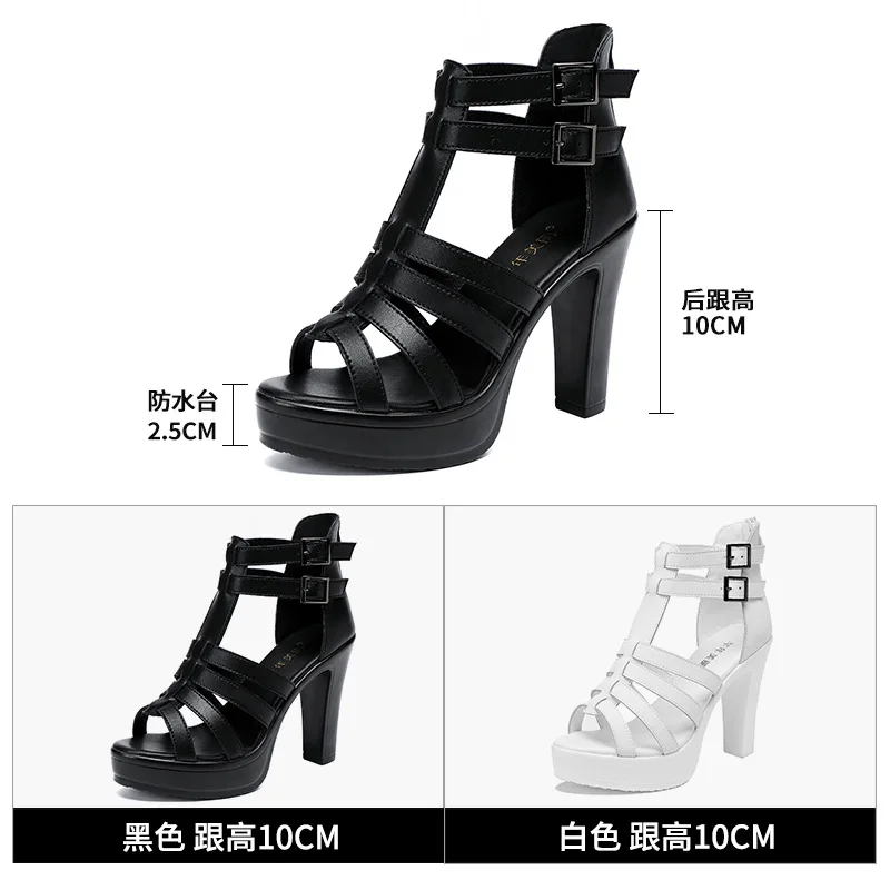 Gladiator Ladies Shoe for Wome - Women'S Fashion Line incelemesi ve fiyatı